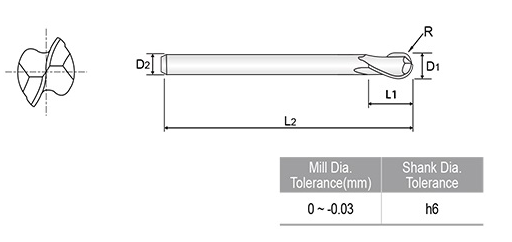 GM813010 X-POWER 2FL LONG B E/M 1X4X2.5X50 YG1