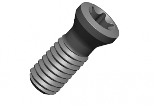 [290030900] P0250704 TORNILLO PALBIT (copia)
