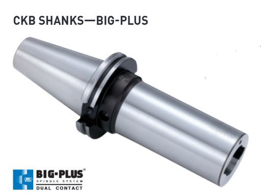 [11.368.666N] 11.368.666N PORTAHERRAMIENTA MODULAR BIG-PLUS CAT50XCKN6XL229MM BIG DAISHOWA